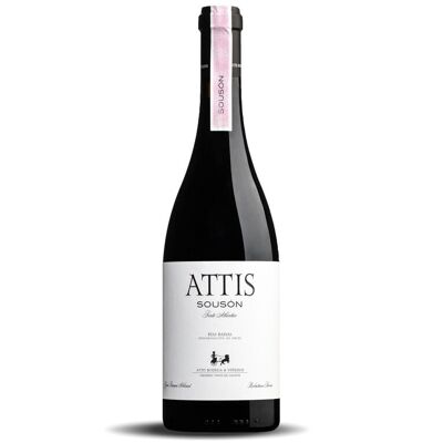 Attis Souson 2016