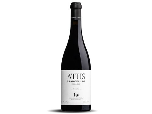 Attis Brancellao 2017