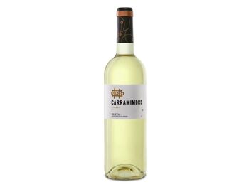 Carramimbre Verdejo 2021