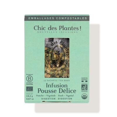 POUSSE DELICE INFUSION (BOX OF 12 SACHETS) - DIGESTION - FENNEL, VERBENA