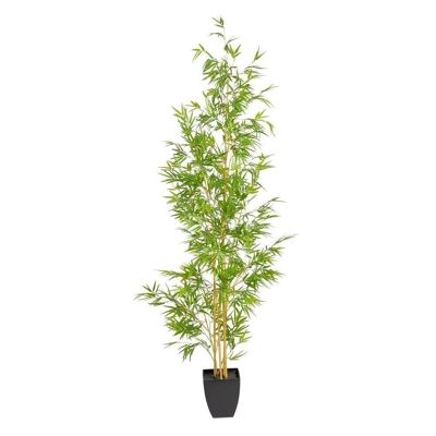 GREEN BAMBOO PLANT "PVC" CT605474