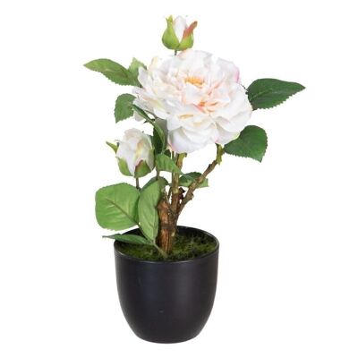 PLANT ARTIFICIAL WHITE ROSES CT604061