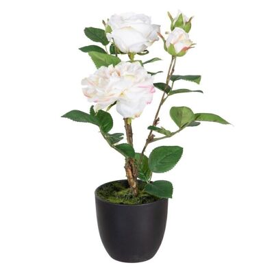 PLANT ARTIFICIAL WHITE ROSES CT604062