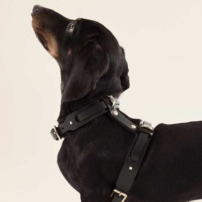 Hundegeschirr (Halsband + Geschirr) Schwarz