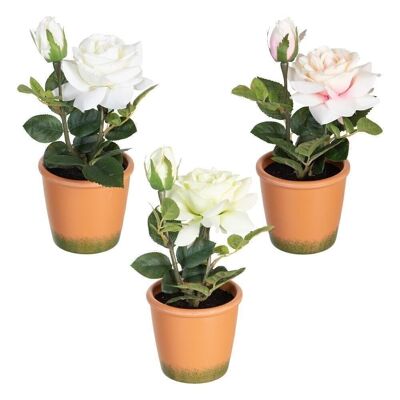 PLANT ROSES 3/M WHITE-PINK ARTIFICIAL CT604082