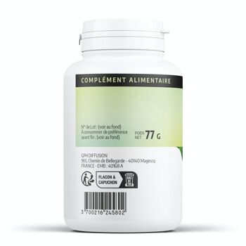 Garcinia - 250 mg - 200 gélules 2
