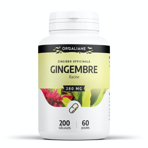 Gingembre - 280 mg - 200 gélules