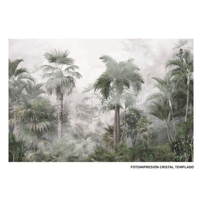 PALMS PRINT PICTURE CT608987