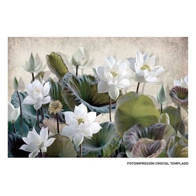 WATER LILY PRINT PICTURE CT608989