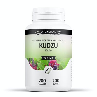 Kudzu - 220mg - 200 capsules