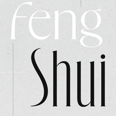 LIVRE DE CUISINE - Feng Shui