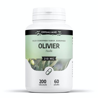 Olivenbaum - 210 mg - 200 Kapseln