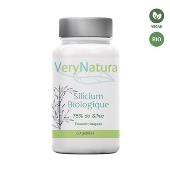 Silicium  Bio 75% de Silice 1