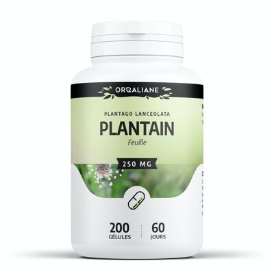 Plantain - 250mg - 200 capsules