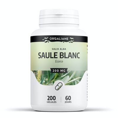 Saule blanc - 200 mg - 200 gélules