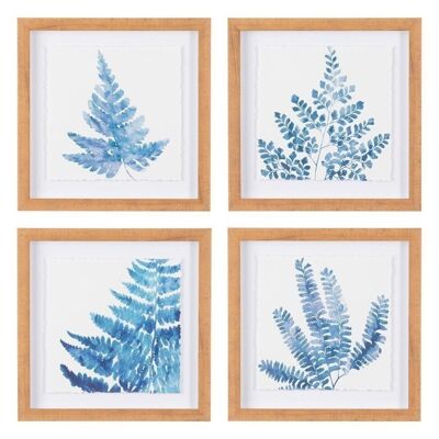 FERN PRINT PICTURE 4/M PS/GLASS CT603659