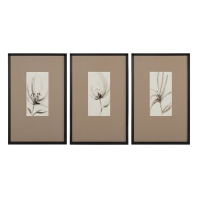 FLOWER PAINTING FRAME 3/M WOOD / GLASS CT609174