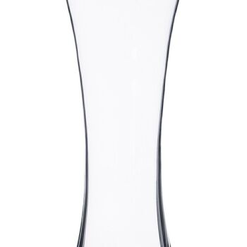 DÉCORATION DE VASE EN VERRE TRANSPARENT CT606036 4