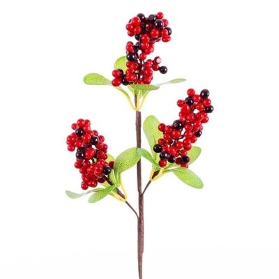 CHRISTMAS - PICK HOLLY AND LEAVES CT721363