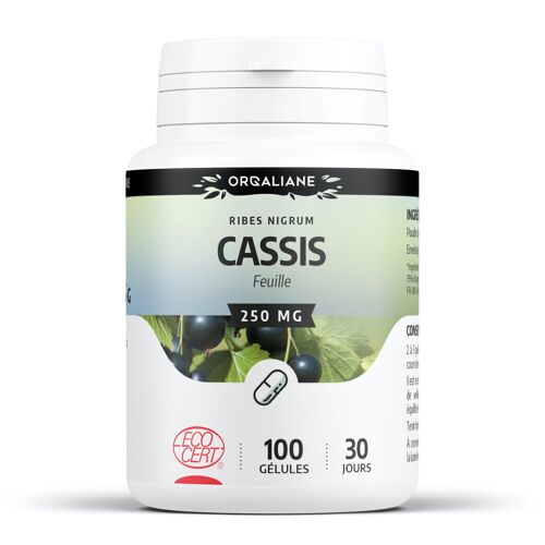 Cassis Bio - 250 mg - 100 gélules