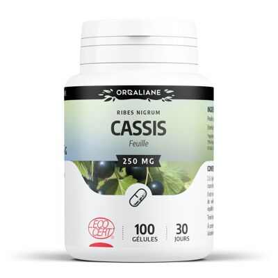 Grosella Negra Ecológica - 250 mg - 100 cápsulas