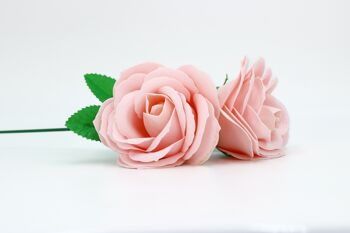 Fleur de savon – Rose moyenne Rose pâle 1