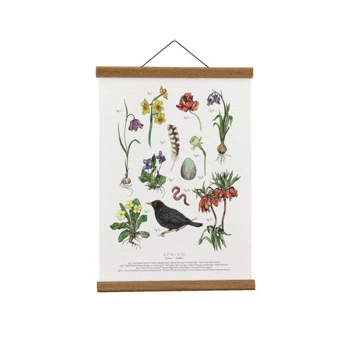 Botanical Illustration: Spring Herbarium Giclée Art Print