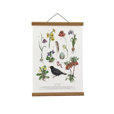 Ilustración botánica: Spring Herbarium Giclée Lámina artística