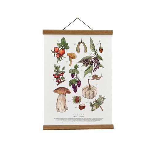 Botanical Illustration: Autumn Herbarium Giclée Art Print