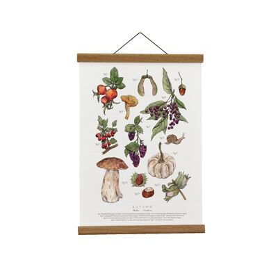 Ilustración botánica: Herbario de otoño Giclée Lámina artística