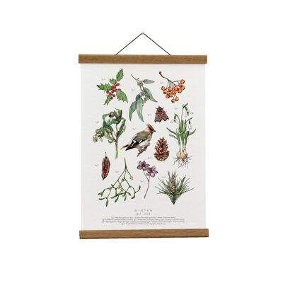 Botanische Illustration: Winter Herbarium Giclée Kunstdruck