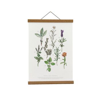 Illustration botanique : Giclée d'herbes médicinales Impression artistique