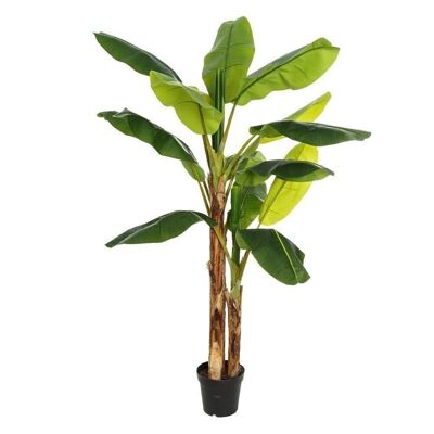 GREEN BANANA PLANT "PVC" DECORATION CT107413