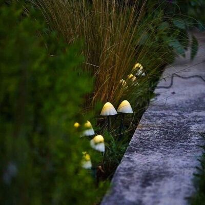 10 mini-champignons solaires à piquer CHAMPY