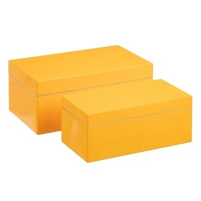 S/2 BOXES YELLOW DM CT604462