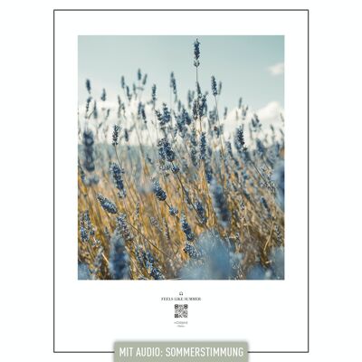 AUDIBLE RELAX | audio image | FEELS LIKE SUMMER | lavender