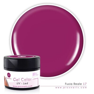 Gel Color uv/led Royal Fuchsia Laqué 17 - 5 ml