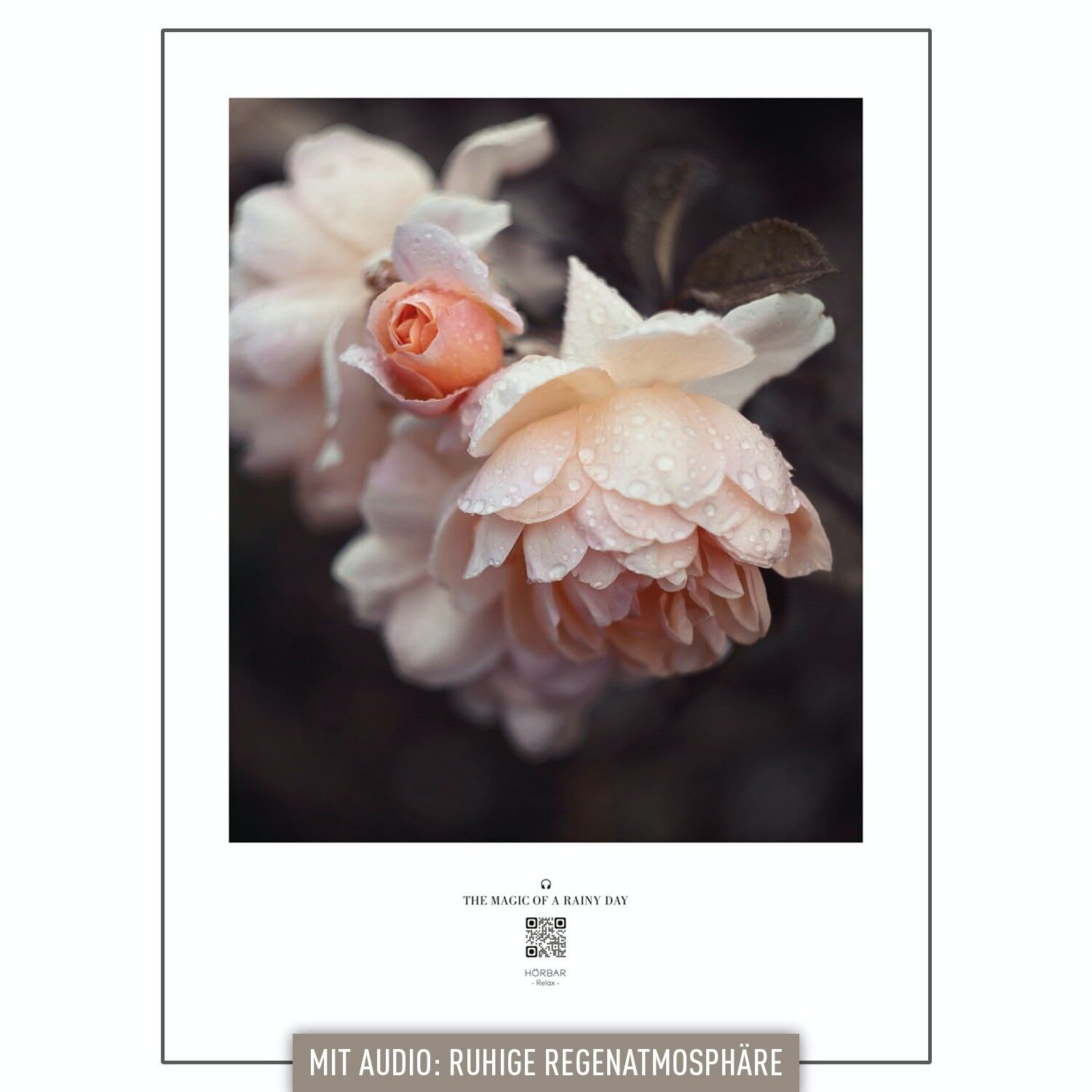 RELAX ACUSTICO | immagine sonora | LA MAGIA DI UN GIORNO DI PIOGGIA | Rose