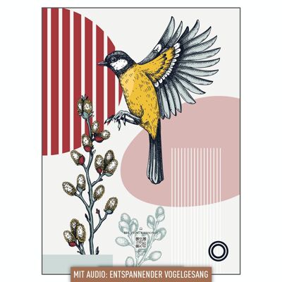 HÖRBAR RELAX | Hörbild | RELAXING BIRDSONGS | Collage bird & plants