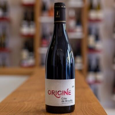 Côtes de Brouilly Naturaleza – Origen (2019)