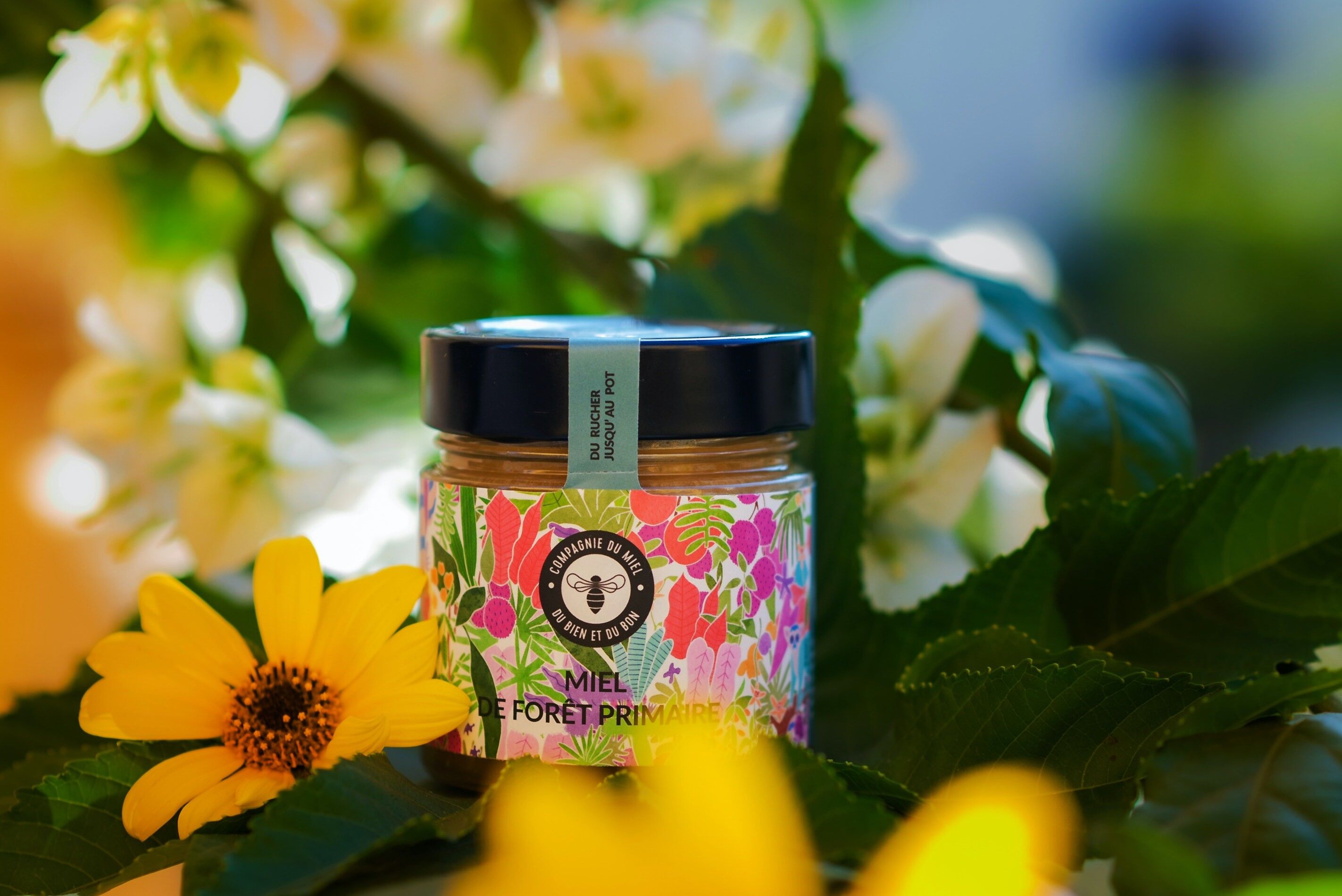 Miel de Forêt Primaire 250 g