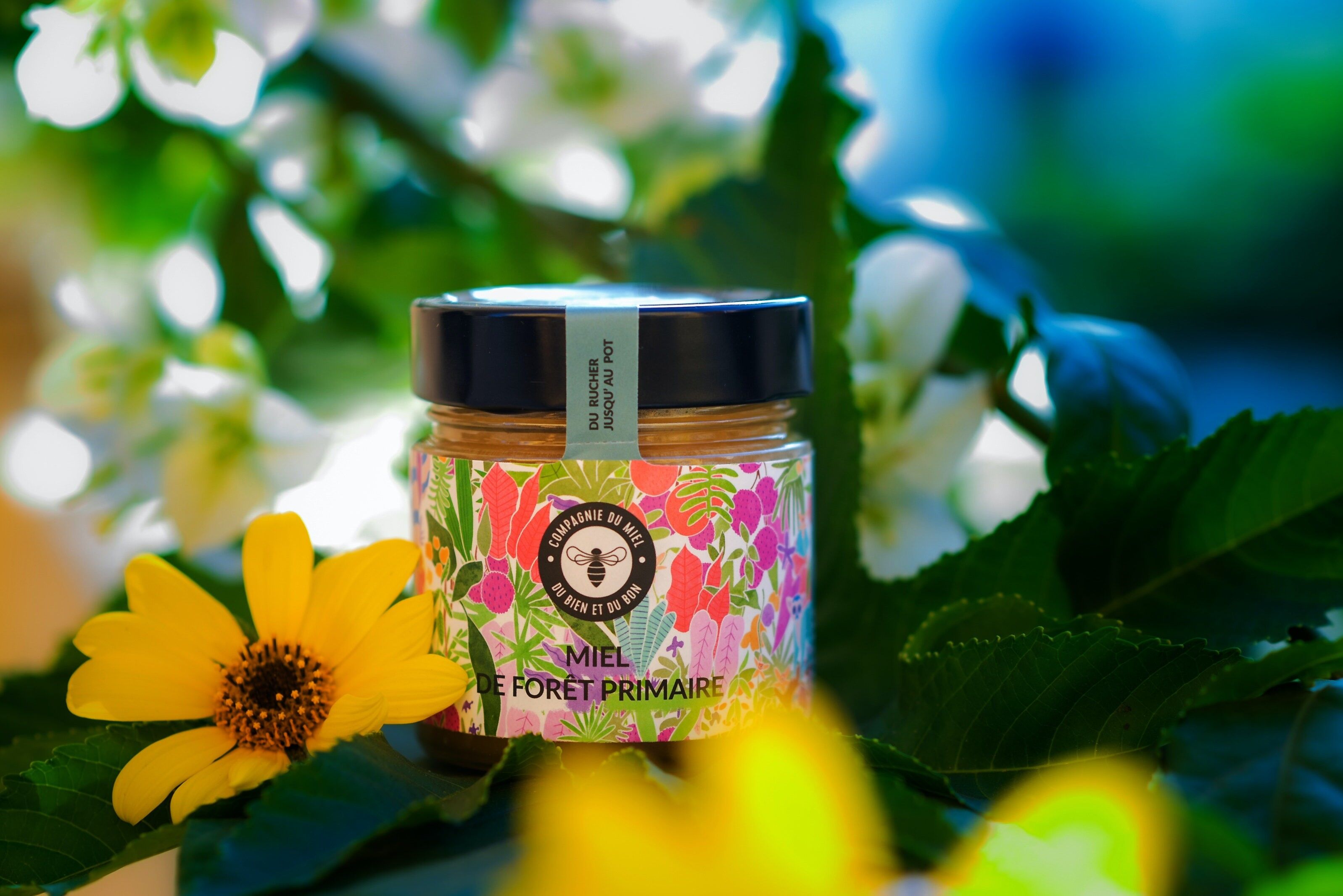 Miel de Forêt Primaire 250 g
