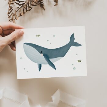 Carte Postale Baleine - Sea Life Iceland 2