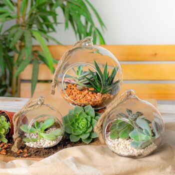 Nicola Spring Terrarium pour plantes d'intérieur avec corde suspendue vintage - 8 cm 3