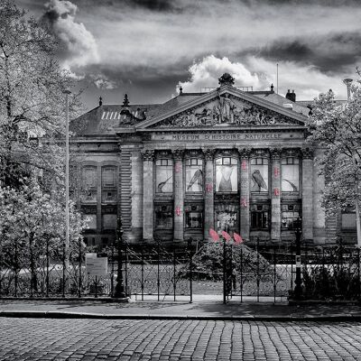 Carte postale DL Musée Histoire naturelle Nantes