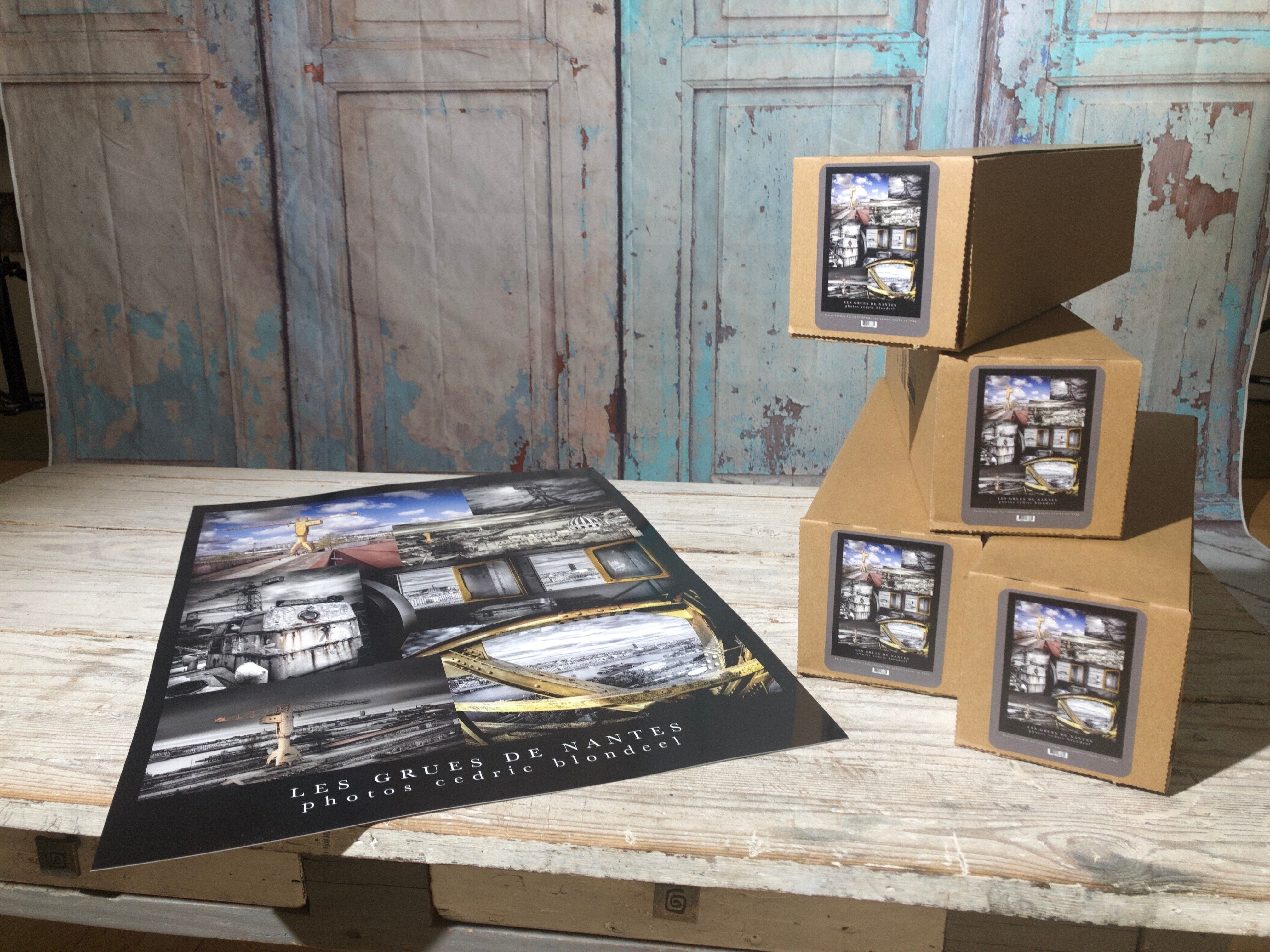 A2-Poster Die Kraniche von Nantes