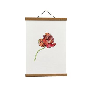 Illustration botanique : A4 Parrot Tulip Giclée Art Print 1