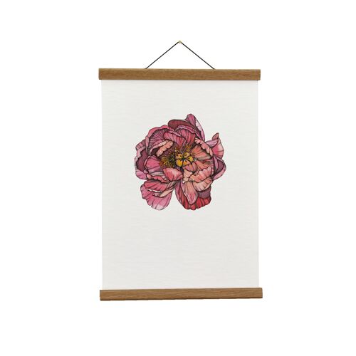 Botanical Illustration: A4 Coral Charm Peony Giclée Art Print