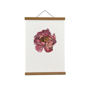 Illustration botanique : A4 Coral Charm Peony Giclée Art Print 1