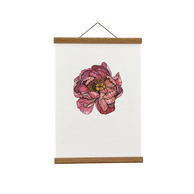 Ilustración botánica: A4 Coral Charm Peony Giclée Art Print